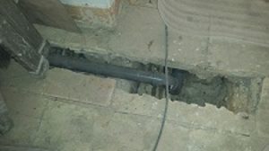 domingolobera12