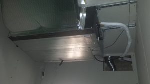 domingolobera22